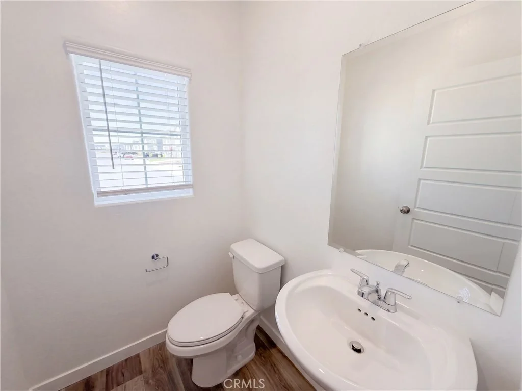 Photo of 3267 Carambola