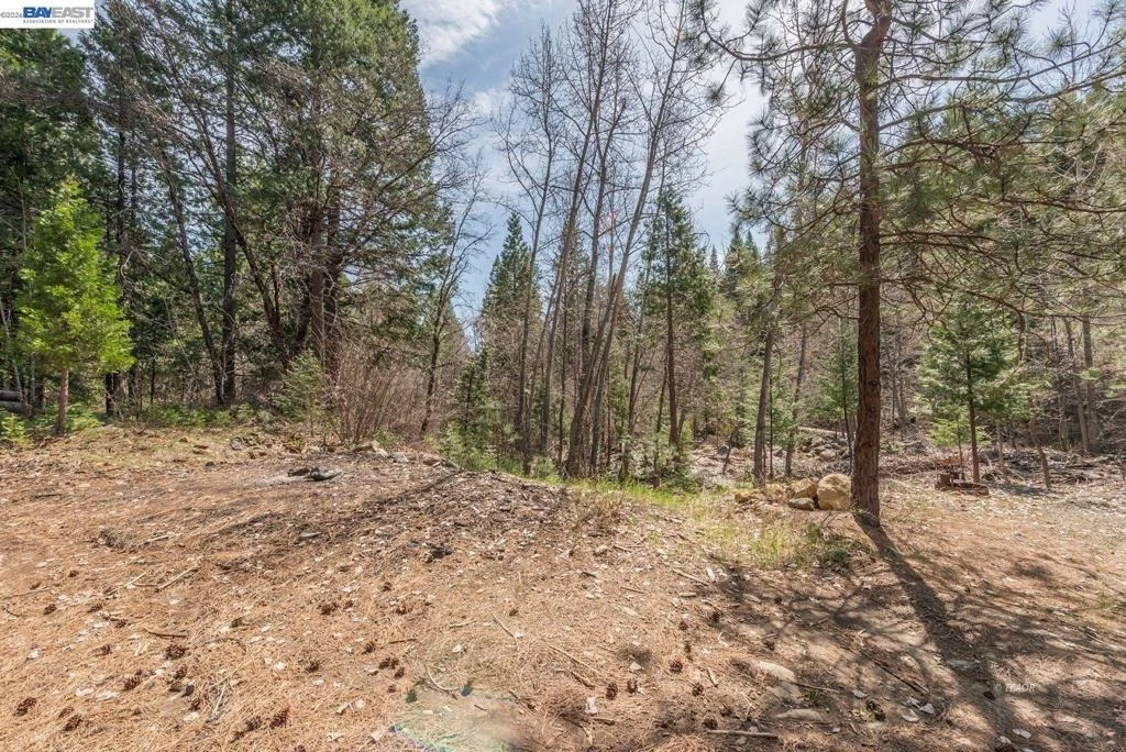 Photo of 121 Mountain Aire Ln