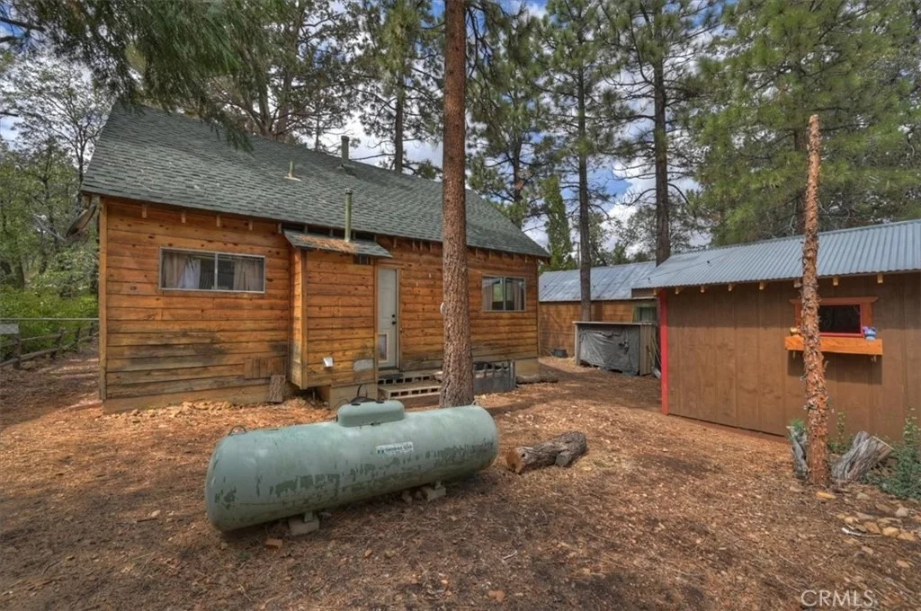 Photo of 313 Leonard