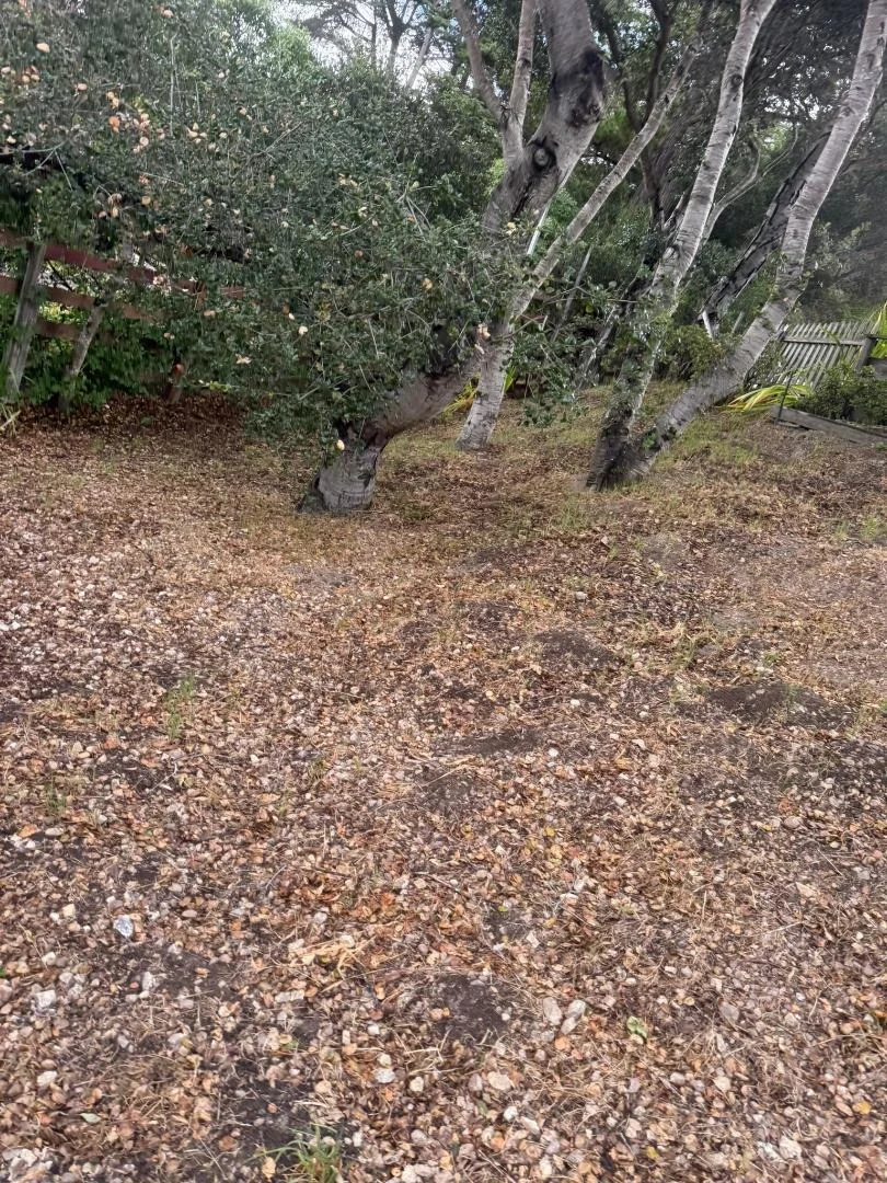 Photo of 11585 Mccarthy Road