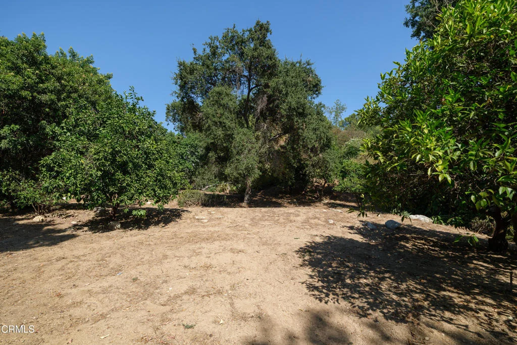 Photo of 3273 New York Drive