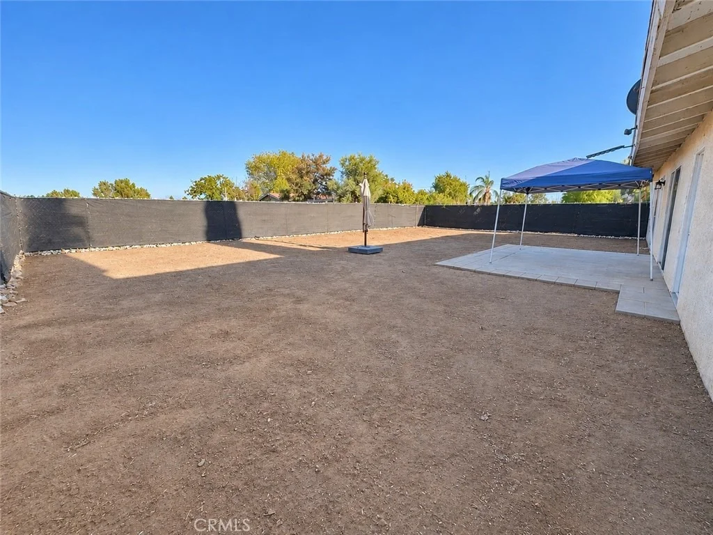 Photo of 24655 Eucalyptus
