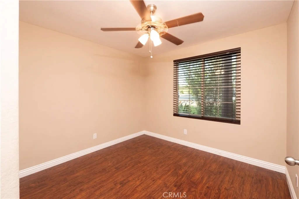 Photo of 40525 Sunflower
