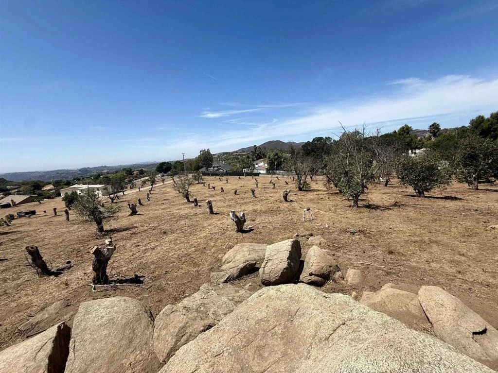 Photo of Canyon Heights Road