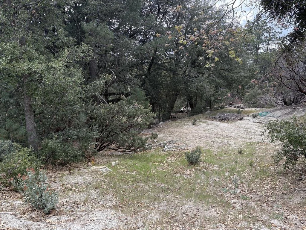 Photo of 0 Schaffer Drive