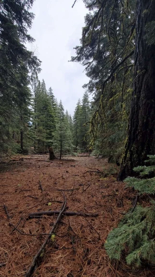 Photo of 0 Range Road