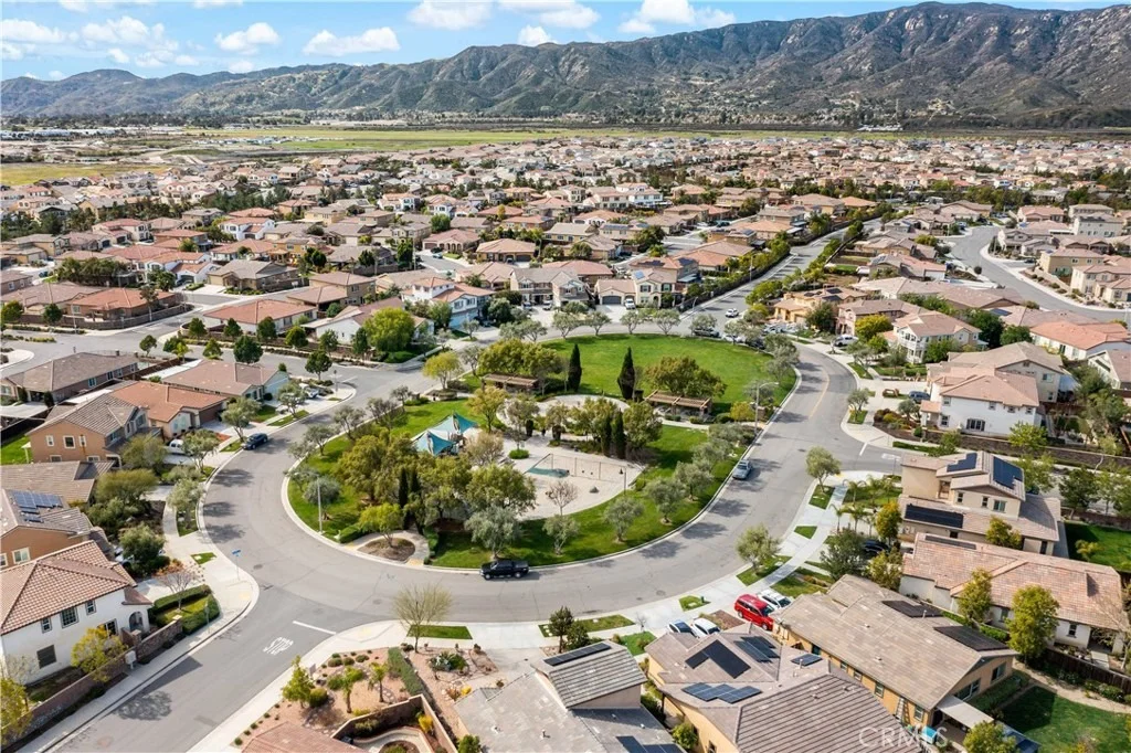 Photo of 29136 Tanoak