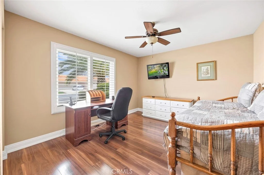 Photo of 2767 Banyan Tree