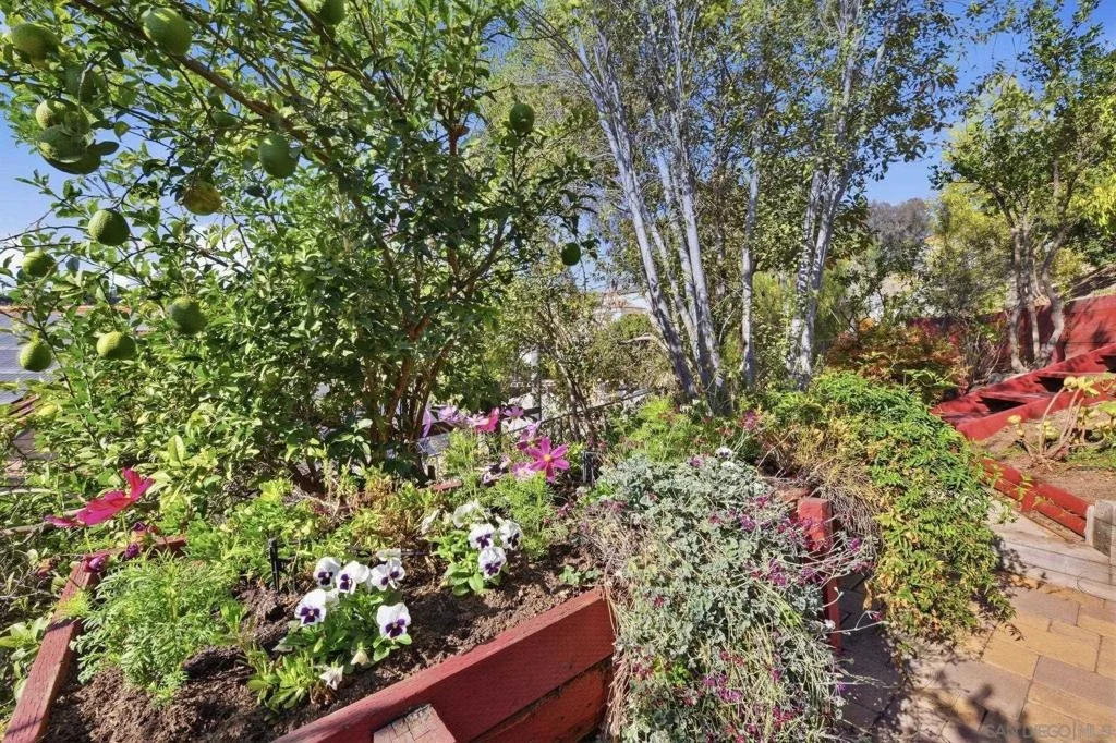 Photo of 1653 Vista Vereda
