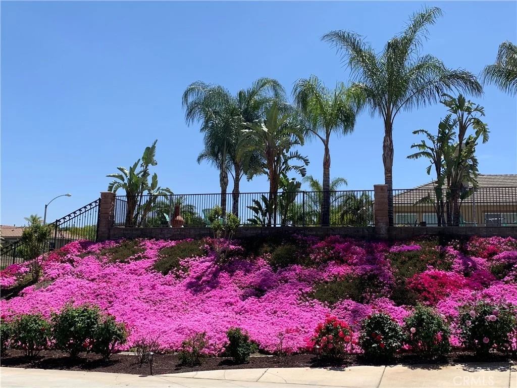 Photo of 7907 Horizon View Drive