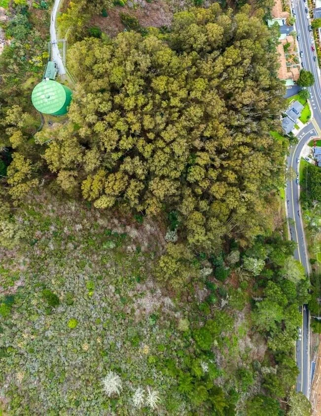 Photo of 0 Everglades Drive