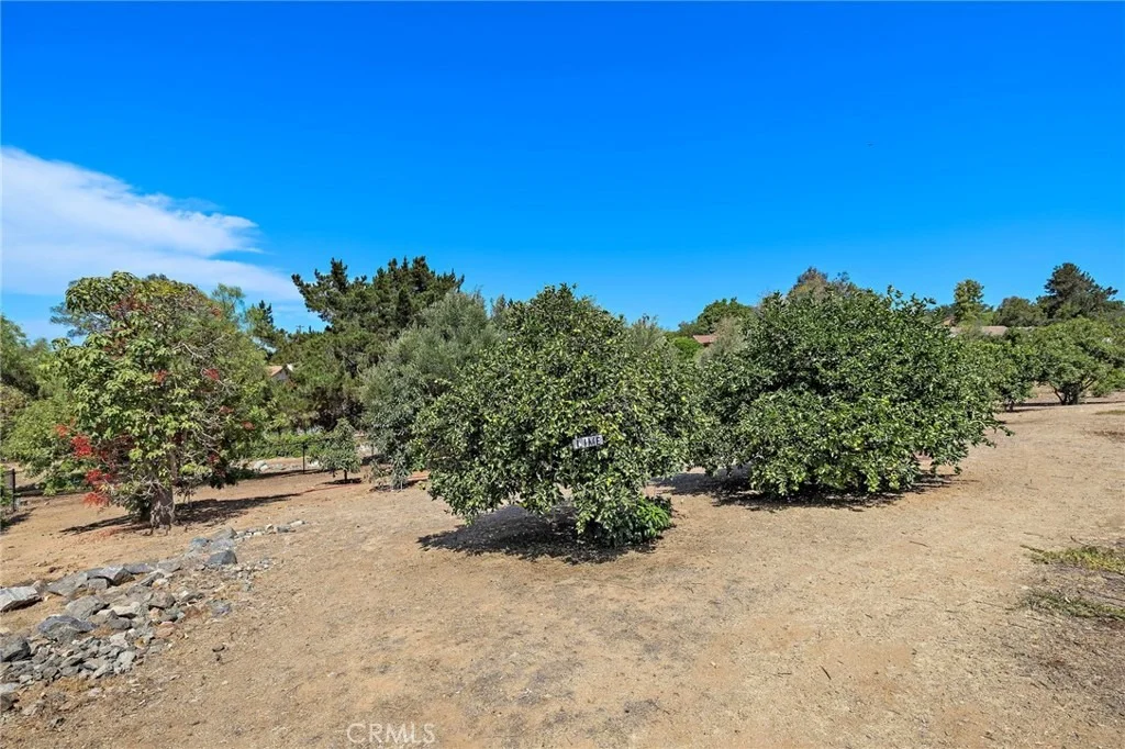 Photo of 647 tumble creek Lane