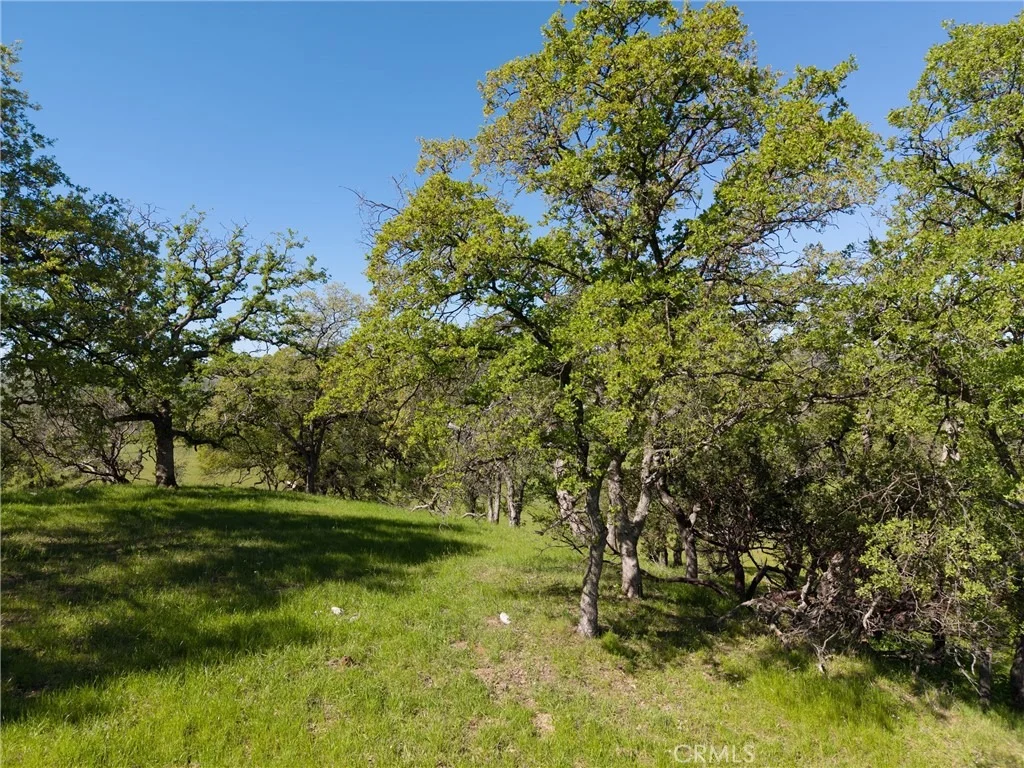 Photo of 4053 Hidden Valley