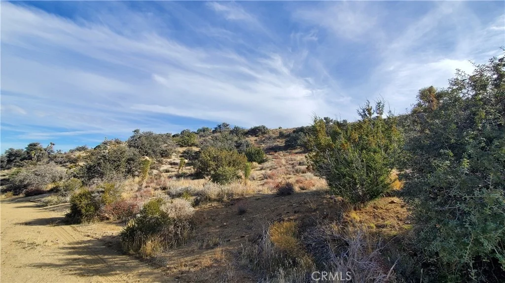 Photo of 0 Vicinity Ross Road E