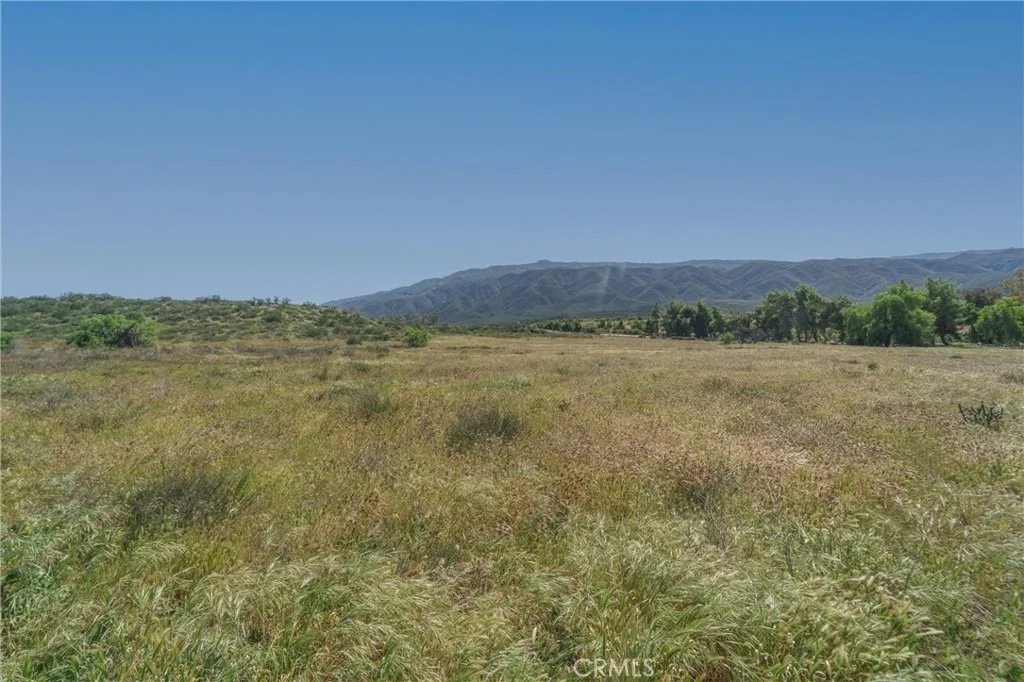 Photo of 41 Highway 79