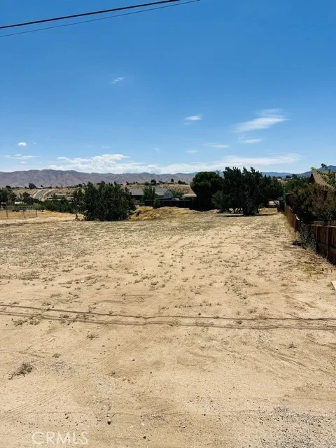 Photo of 0 Cholla