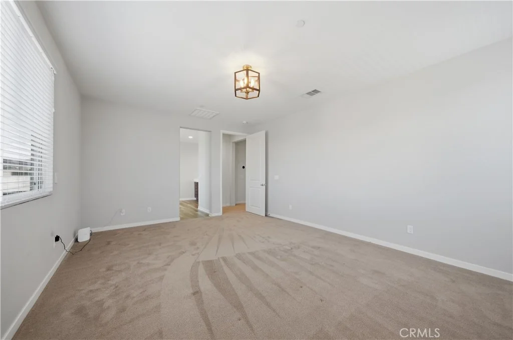 Photo of 29136 Tanoak