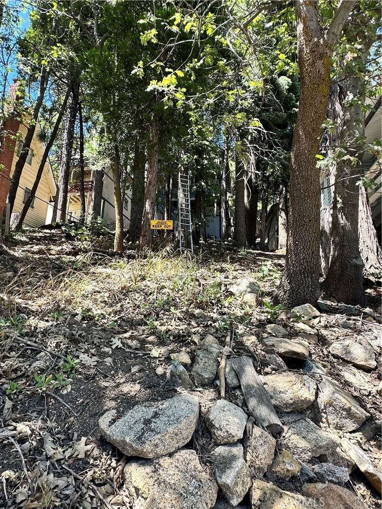 Photo of 1223 Bear Springs