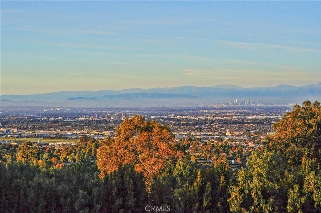 Photo of 57 Saddleback