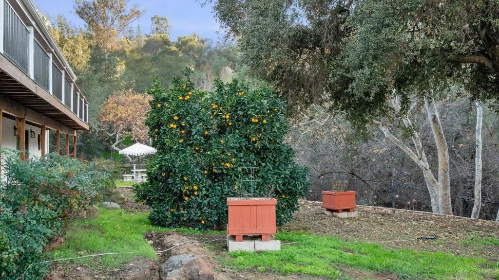 Photo of 1165 Midway Dr