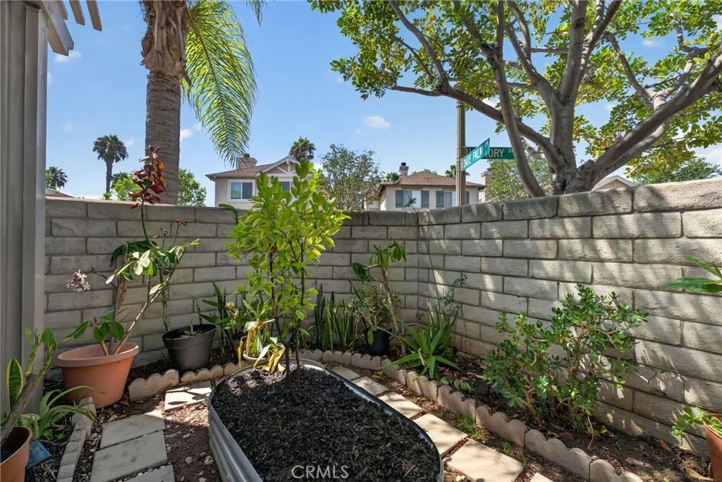 Photo of 1208 Date Palm