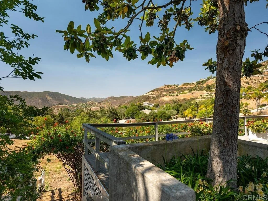Photo of 1453 Margarita Glen