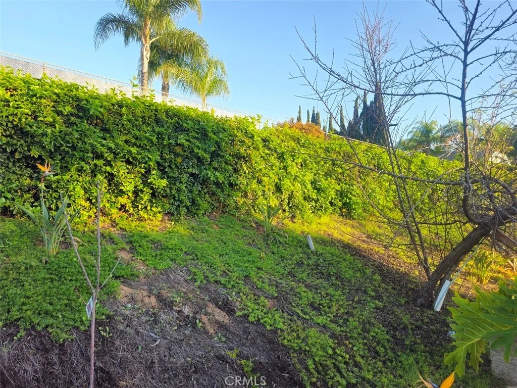 Photo of 16796 Katie