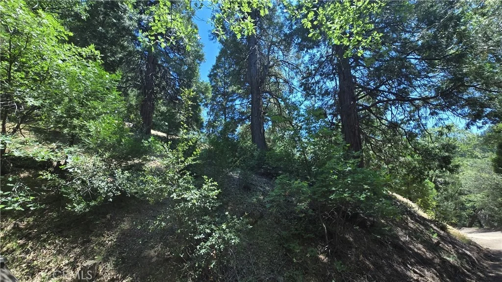 Photo of 22494 Mojave River Road