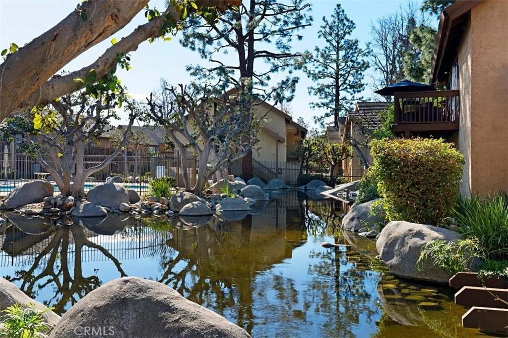 Photo of 324 Tangelo