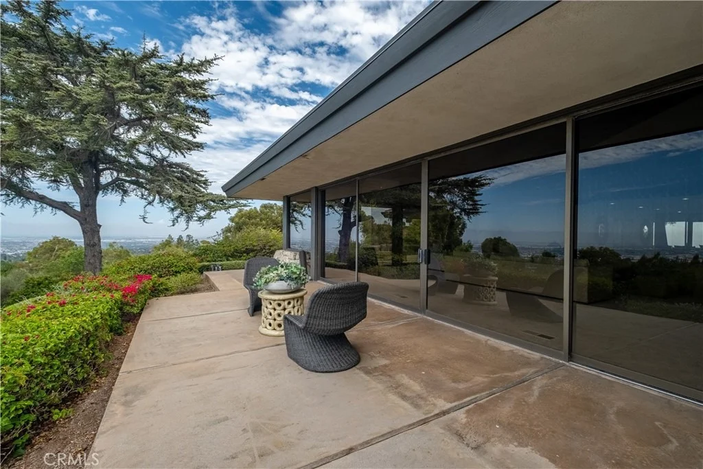 Photo of 57 Saddleback