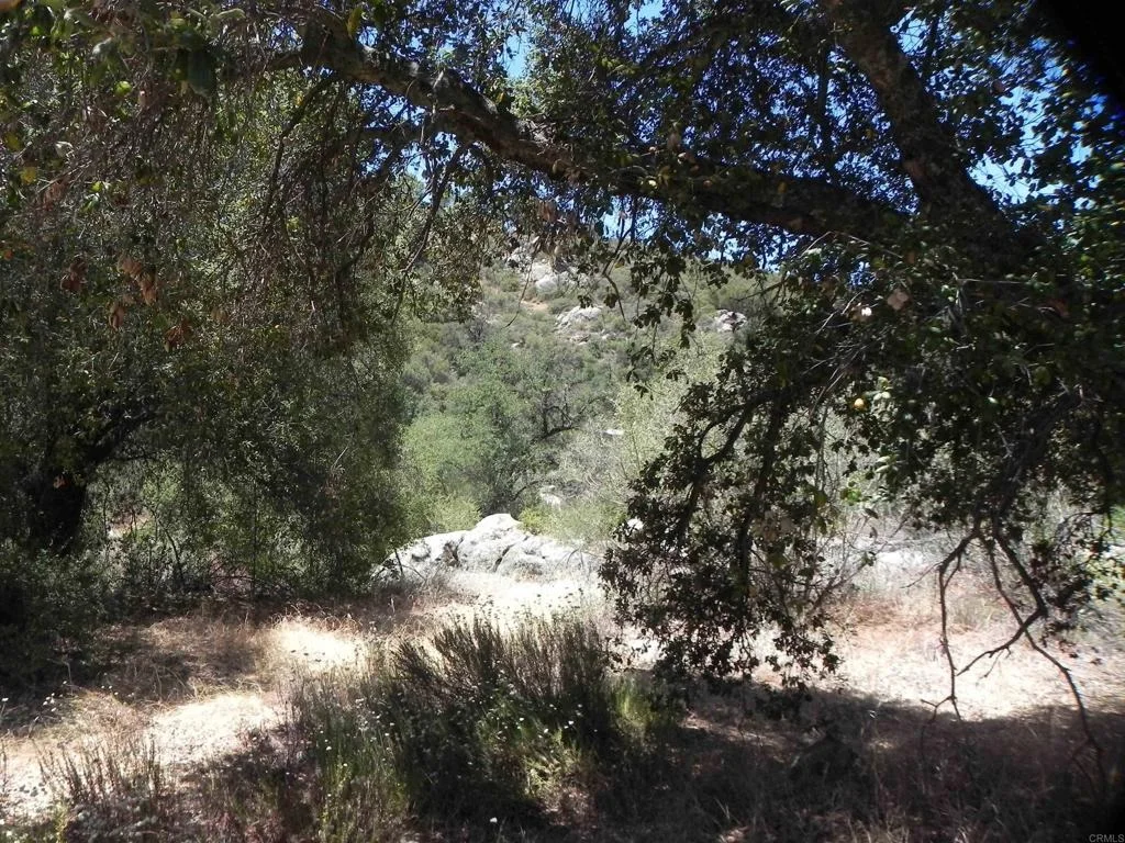 Photo of 9779 Deer Valley Trail