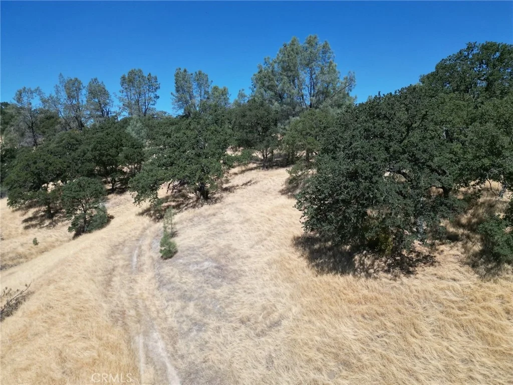 Photo of 16275 Oakridge Road