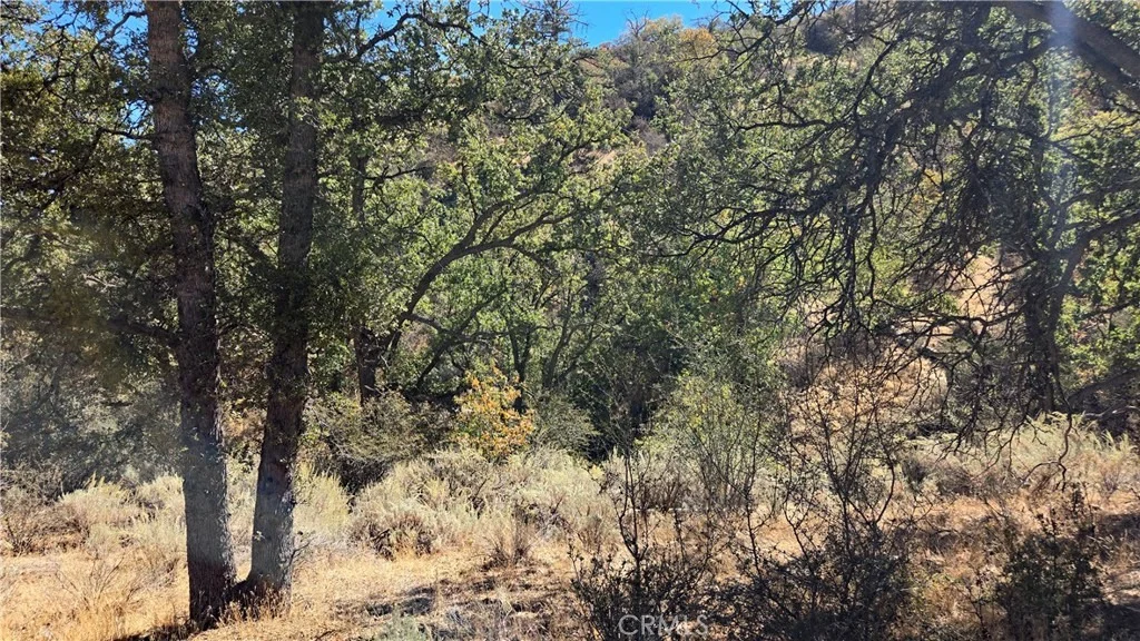 Photo of 0 Saint Moritz Drive
