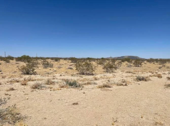 Photo of 117 Border Road
