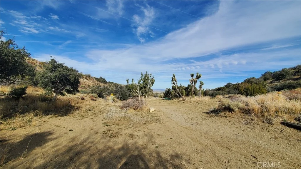 Photo of 0 Vicinity Ross Road E