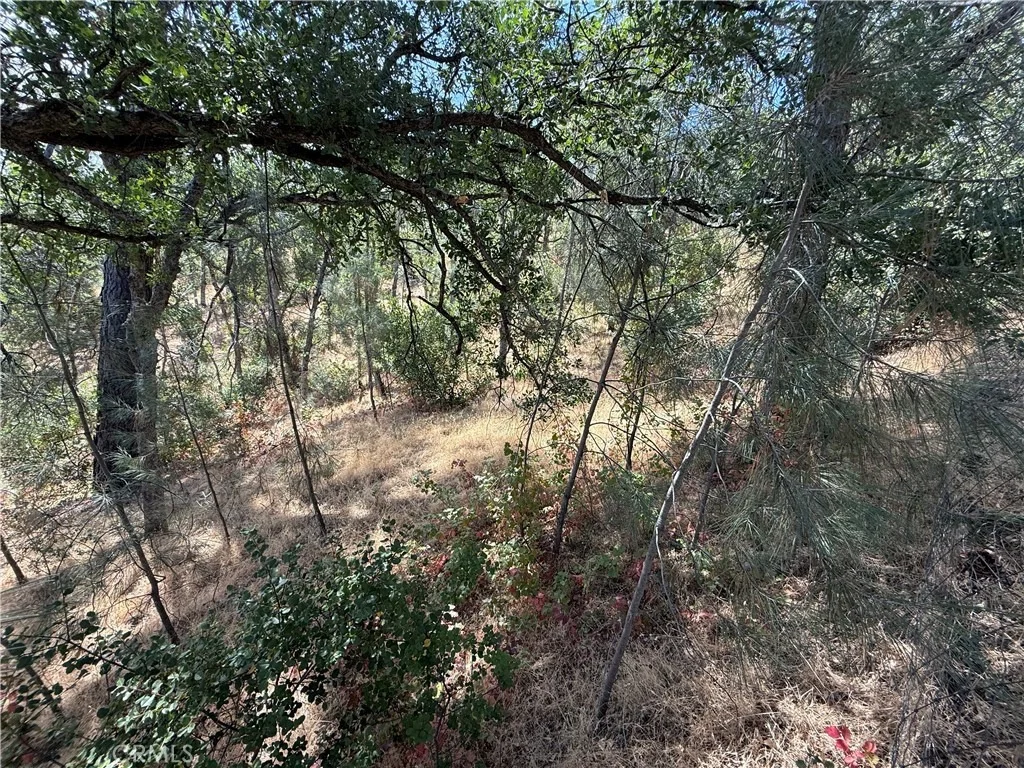 Photo of 16305 Hillcrest Drive