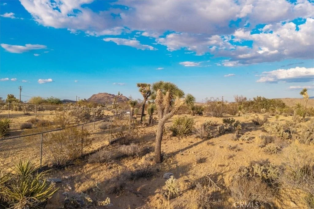 Photo of 58814 Los Coyotes