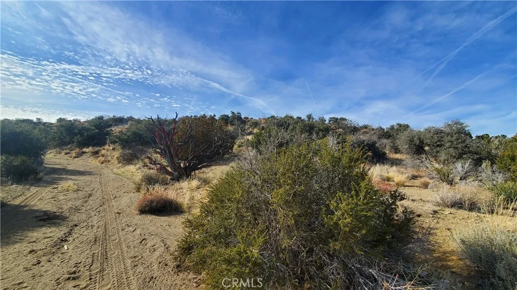 Photo of 0 Vicinity Ross Road E