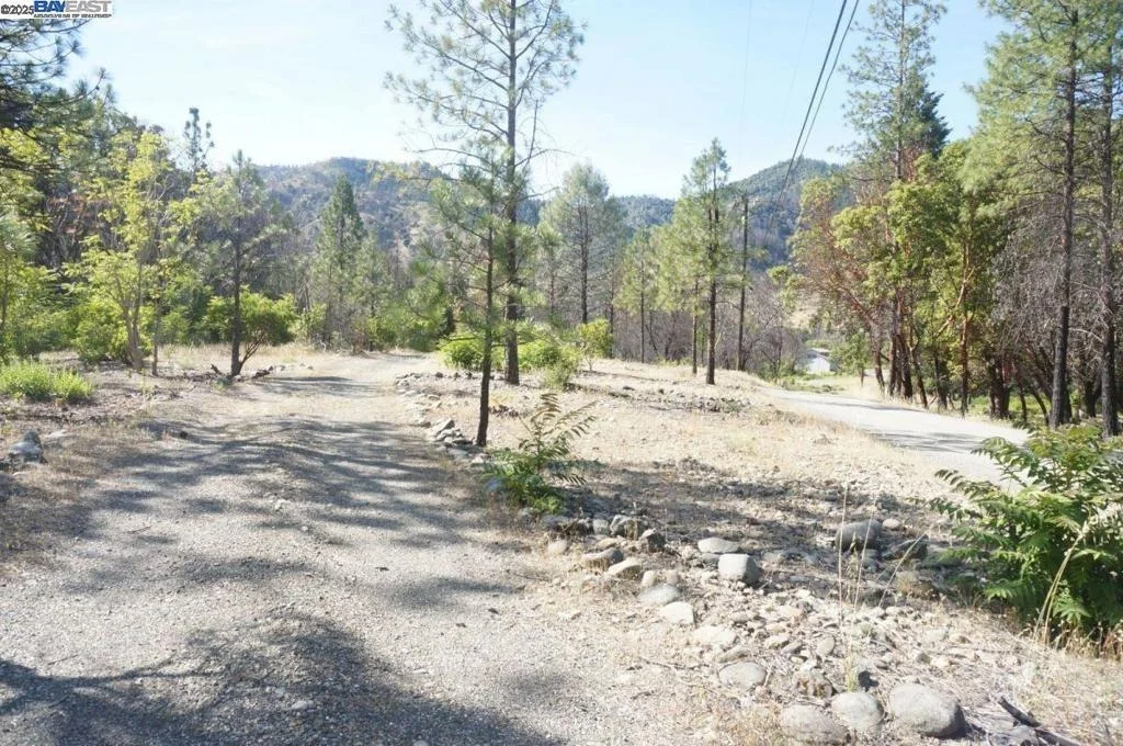 Photo of 101 River Acres
