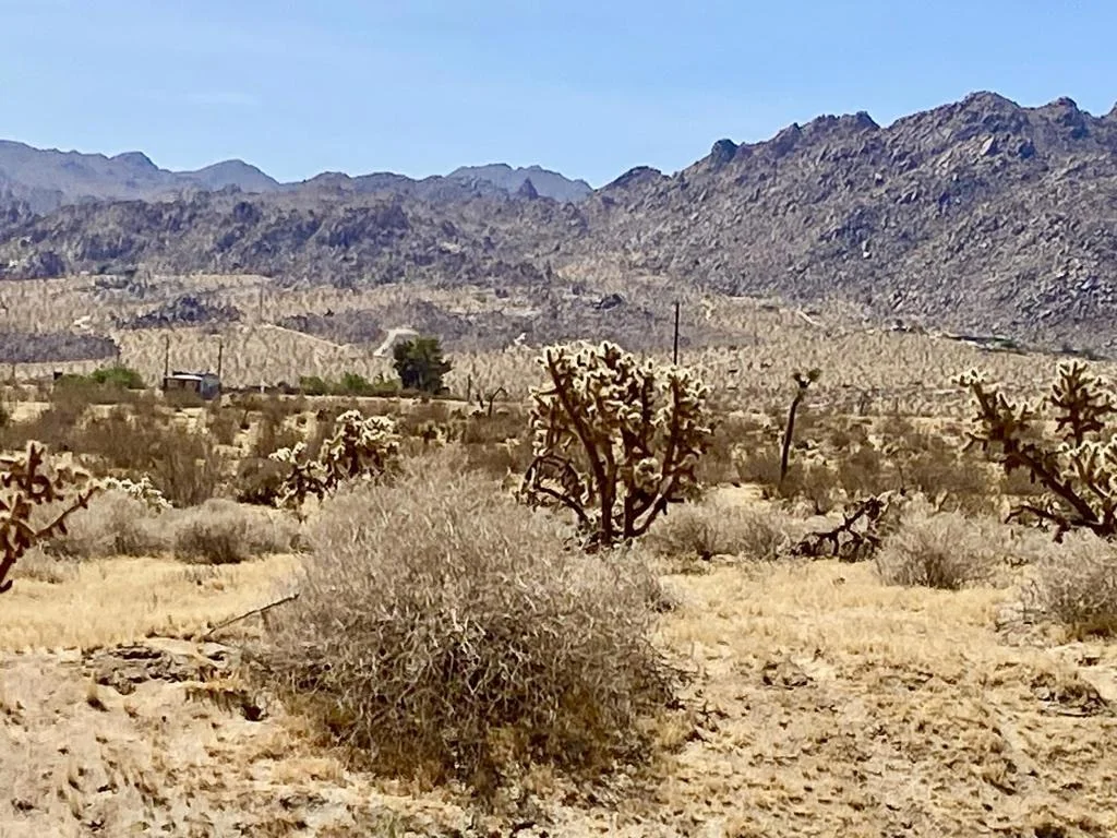 Photo of 62585 Two Mile Road
