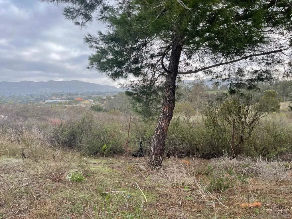 Photo of 89 Yacoo Ct