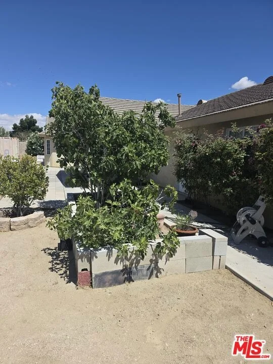 Photo of 1168 Smoke Tree Road