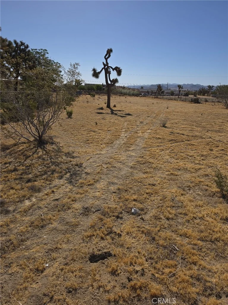 Photo of 6295 Ruth