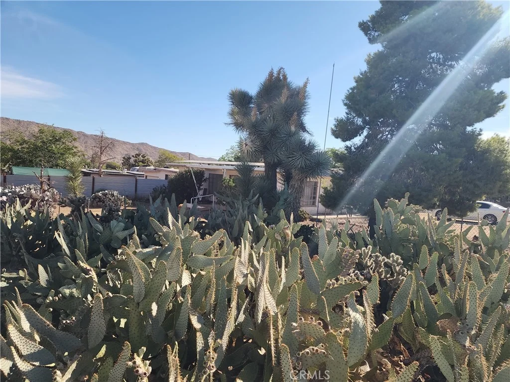 Photo of 7791 Mariposa Trail