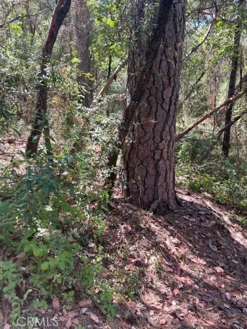 Photo of 12 Broken Springs