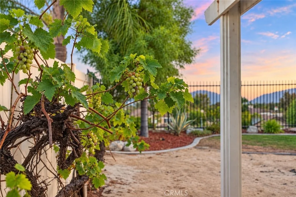 Photo of 32071 Camino Nunez