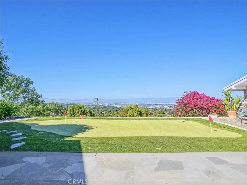 Photo of 49 Saddleback