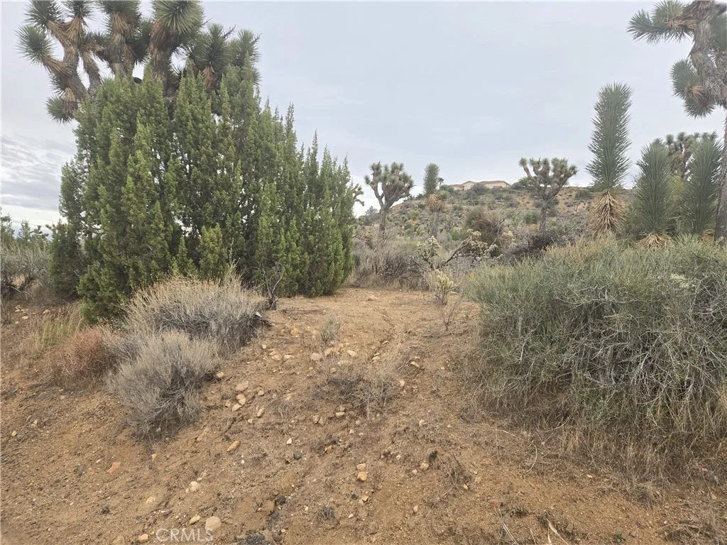 Photo of 54763 Twentynine Palms Highway