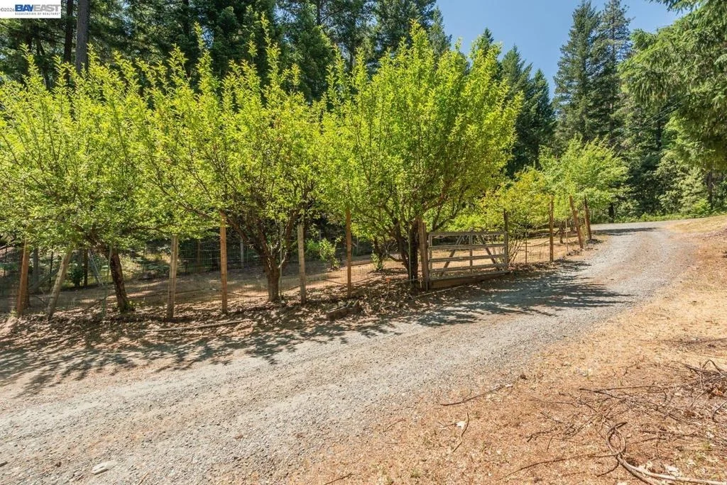 Photo of 891 Salt Flat Rd