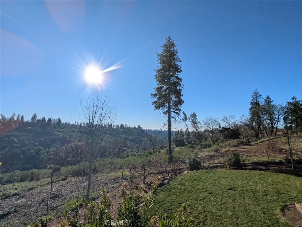Photo of 1658 Jaramillo